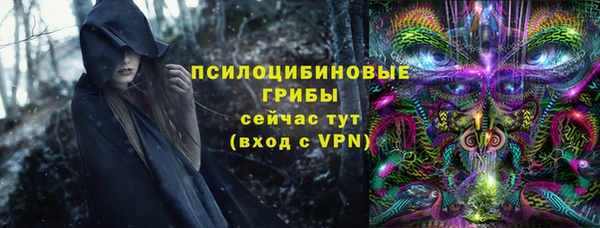 не бодяженный Белокуриха