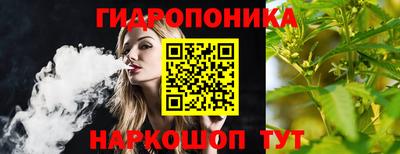 МДПВ Лесосибирск