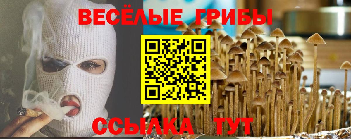 Галлюциногенные грибы прущие грибы  Галлюциногенные грибы мухоморы  Вход с VPN  Великие Луки 
